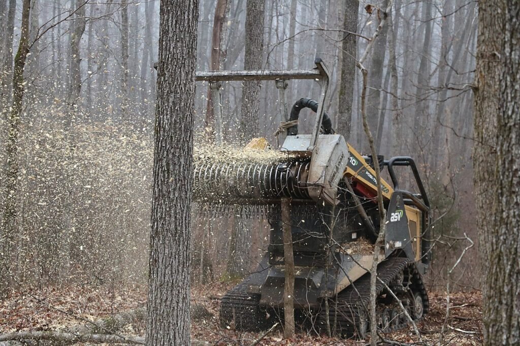 ASV RT-110 compact track loader with a DENIS CIMAF DAF-180D forestry mulching head