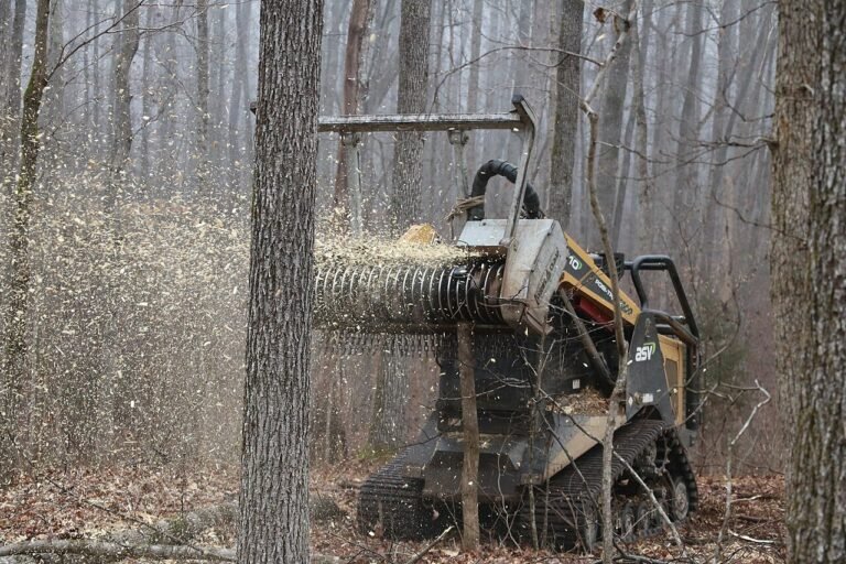 ASV RT-110 compact track loader with a DENIS CIMAF DAF-180D forestry mulching head