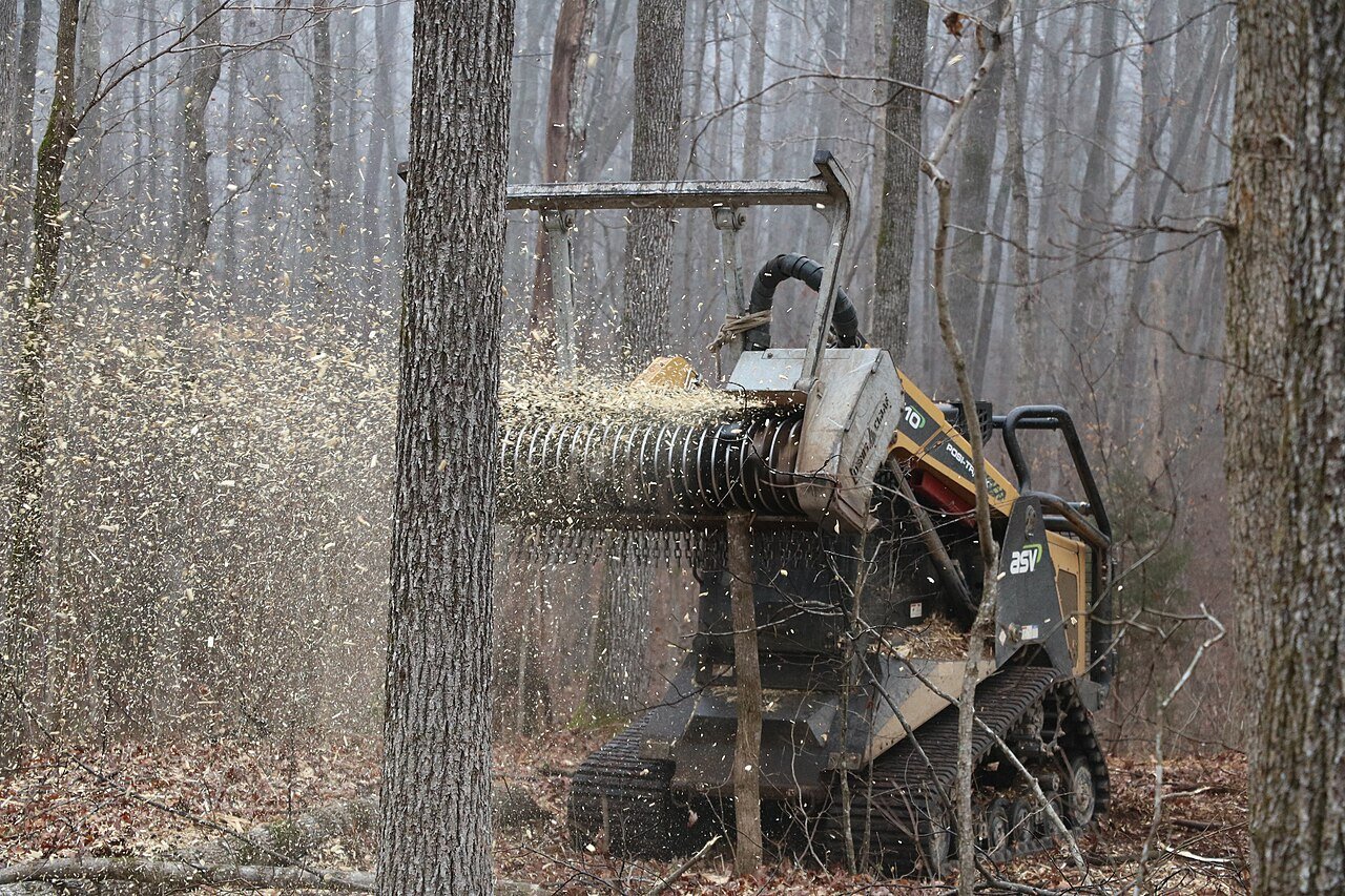 ASV RT-110 compact track loader with a DENIS CIMAF DAF-180D forestry mulching head