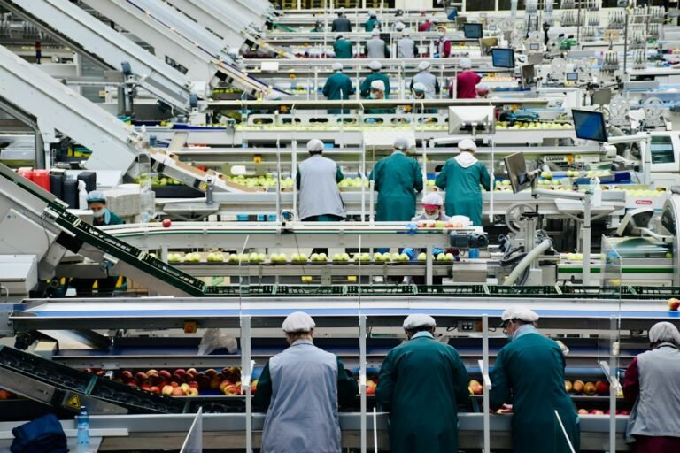 Industrial food-processing machinery in an apple processing facility
