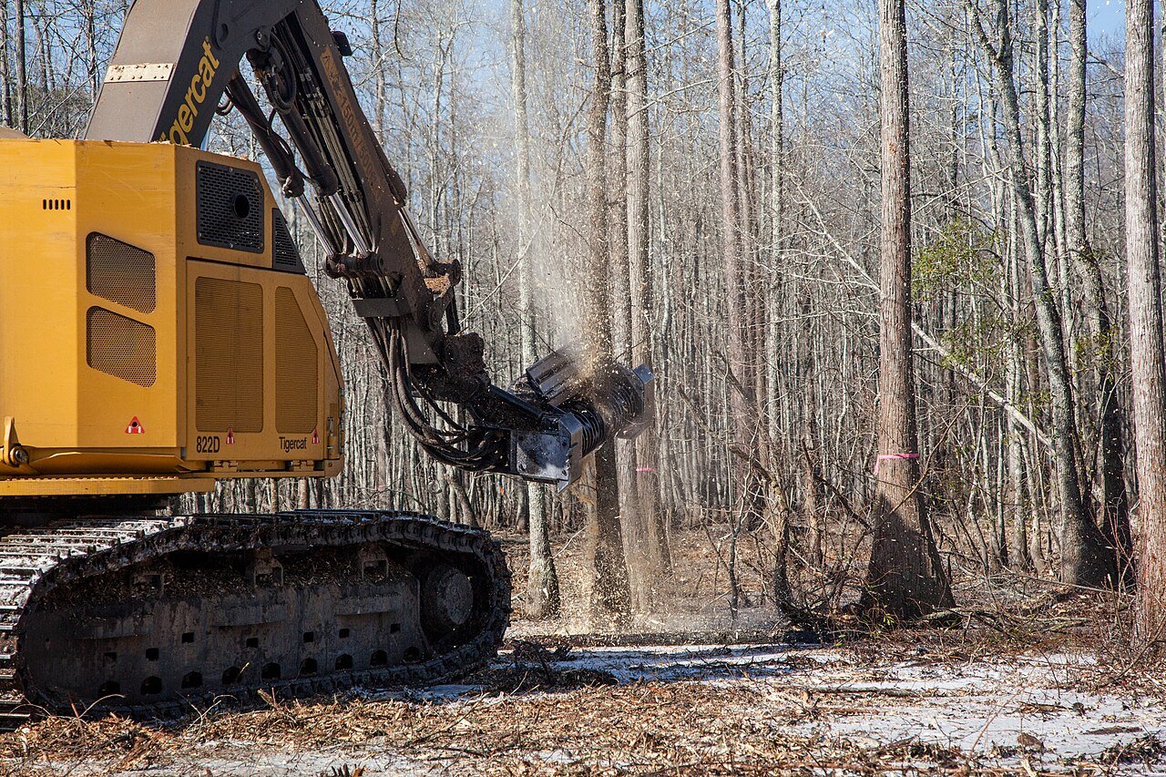 Tigercat 822D tracked forestry carrier with an excavator-mounted DENIS CIMAF mulching head