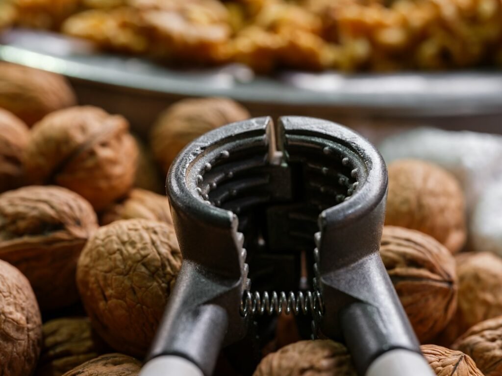 Close-up of walnuts